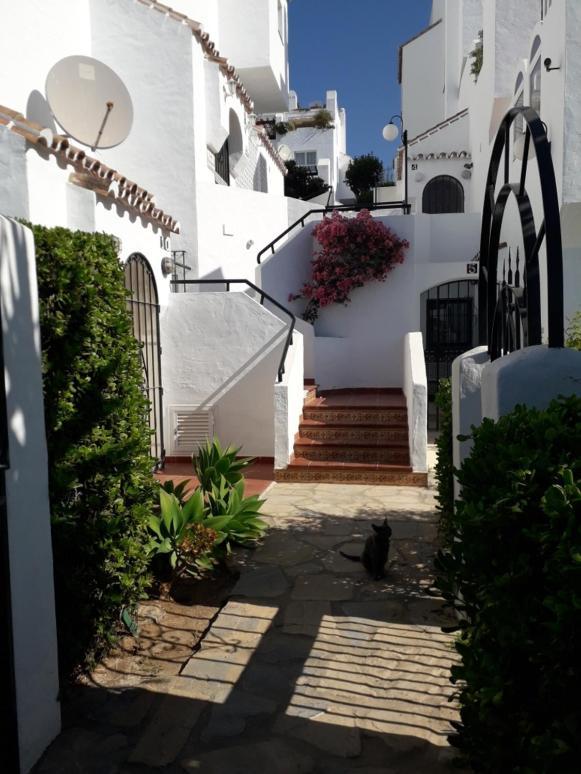Front Sea View Penthouse Apartment Estepona Bagian luar foto